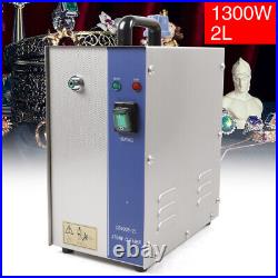 1300W Jewelry Cleaner Steam Cleaning Machine, 2L Electric Steamer Jewelry Cleaner